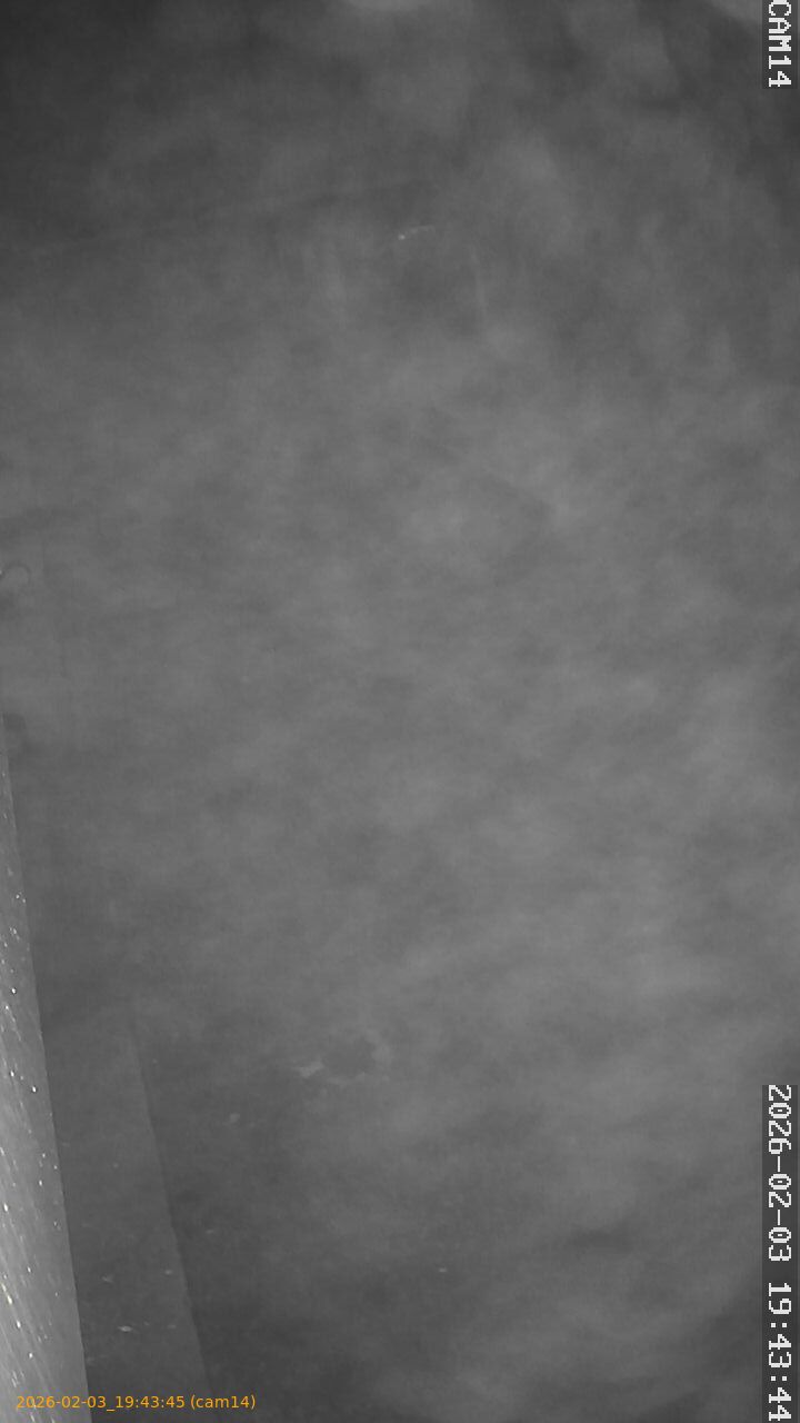 thumbnail_20260203194345