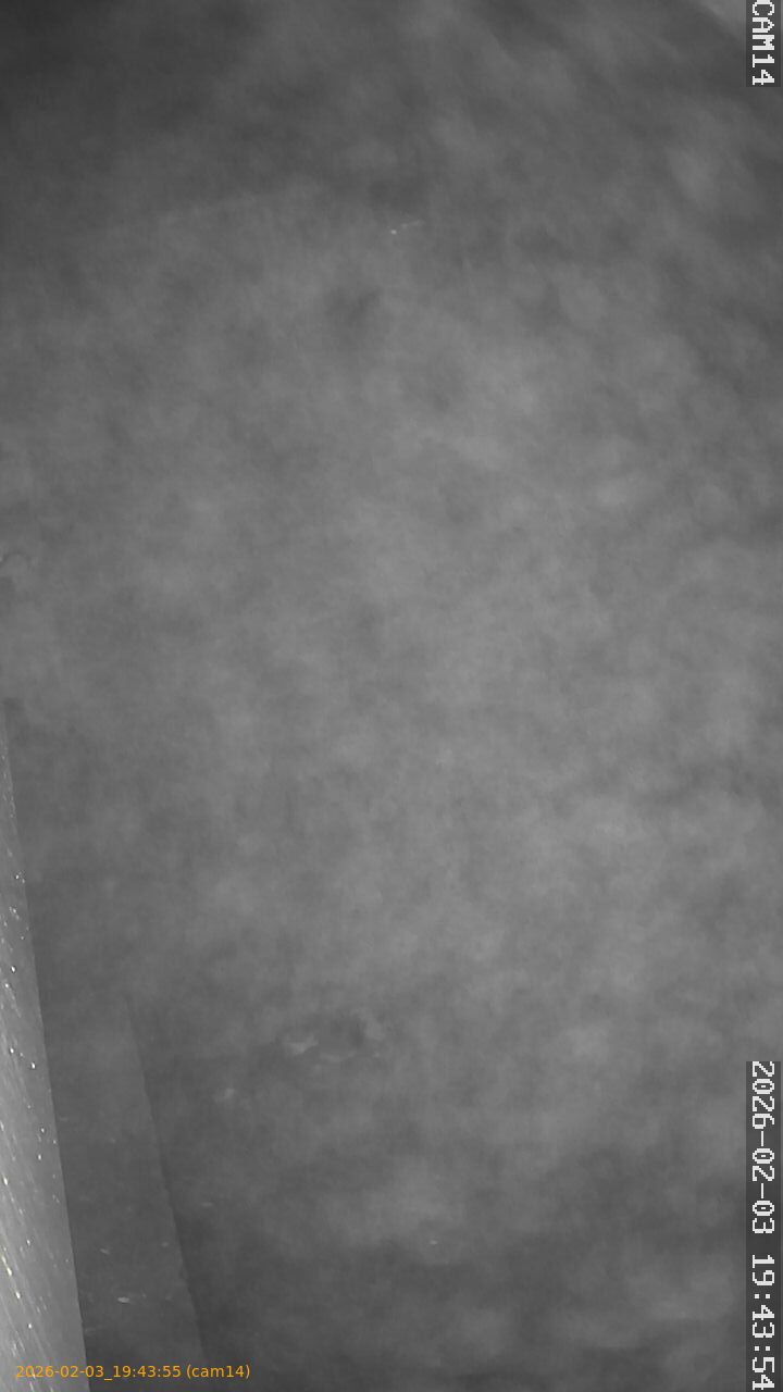 thumbnail_20260203194355