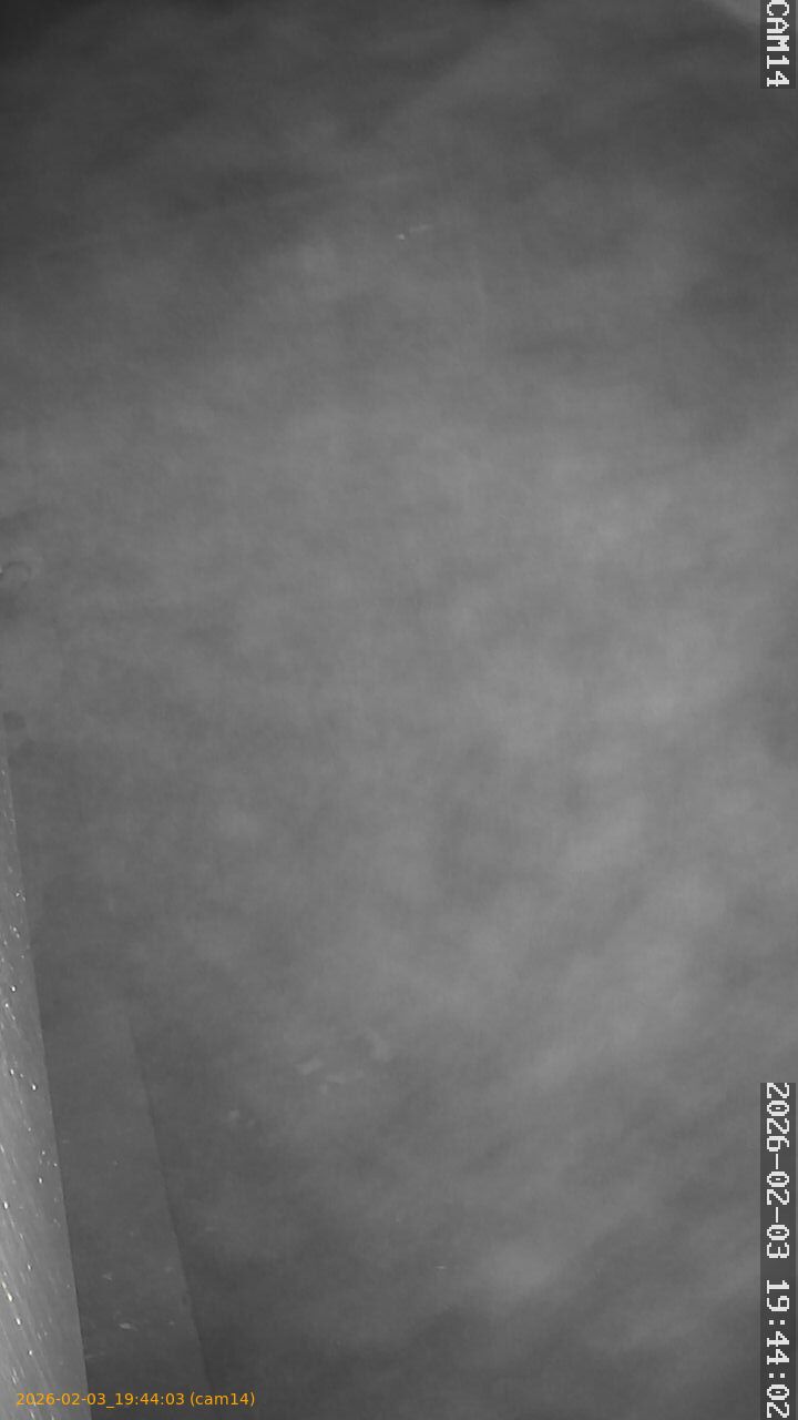 thumbnail_20260203194403