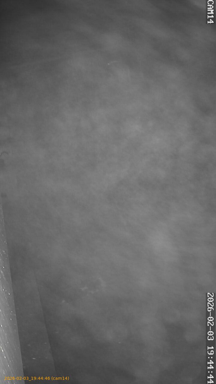 thumbnail_20260203194445