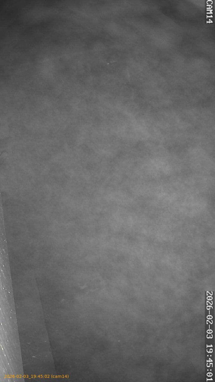 thumbnail_20260203194502