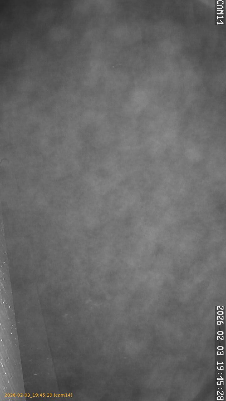 thumbnail_20260203194529