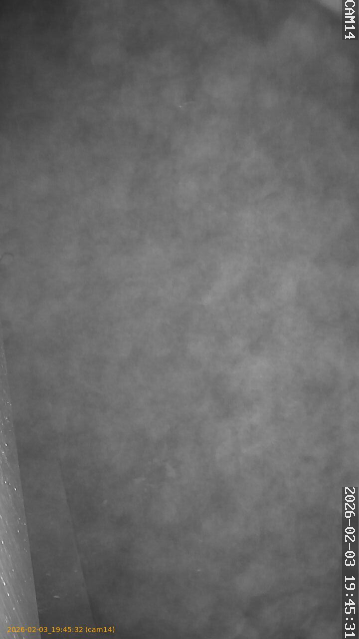 thumbnail_20260203194532