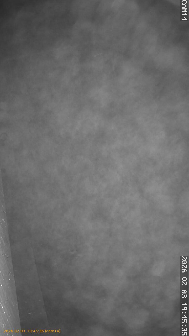 thumbnail_20260203194536