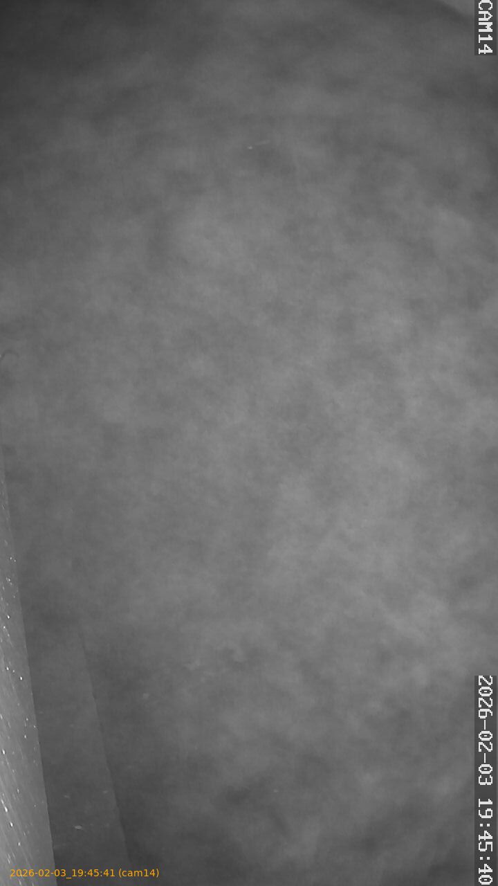 thumbnail_20260203194541