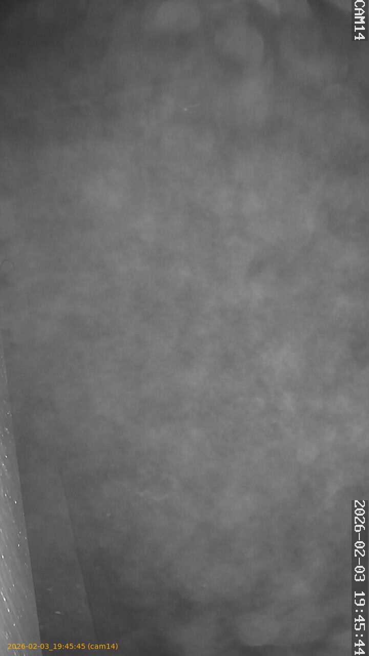 thumbnail_20260203194545