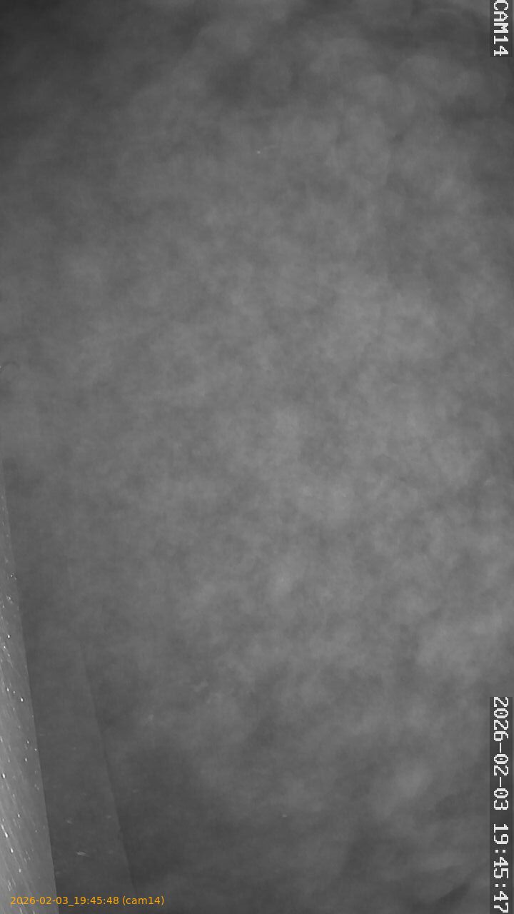 thumbnail_20260203194548