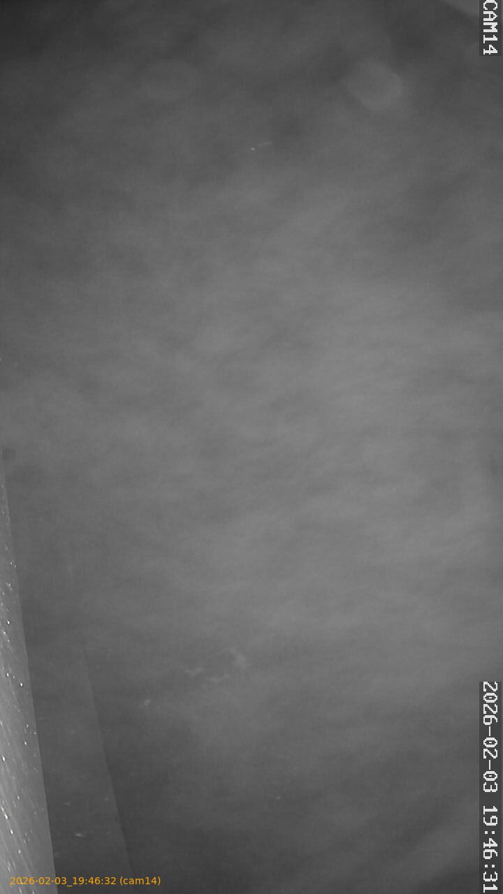 thumbnail_20260203194632