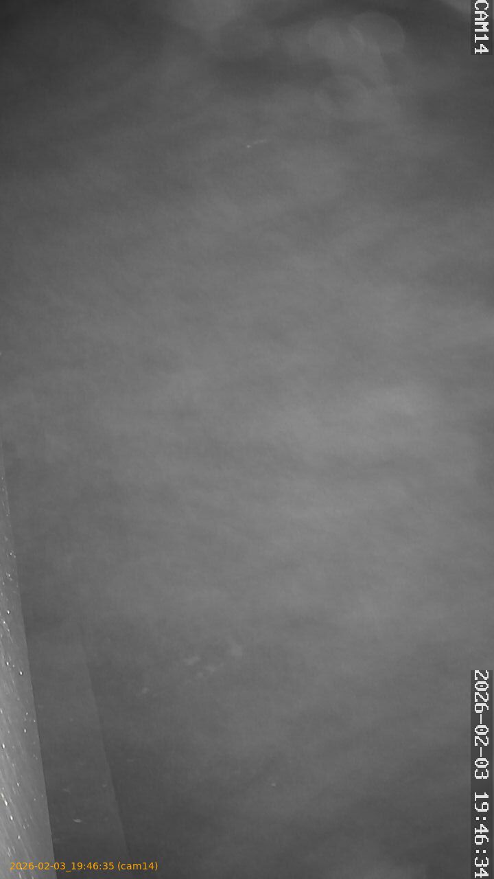 thumbnail_20260203194635