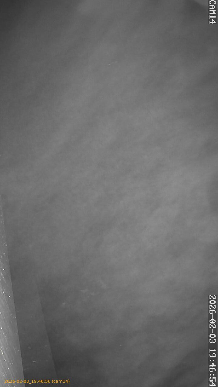 thumbnail_20260203194656