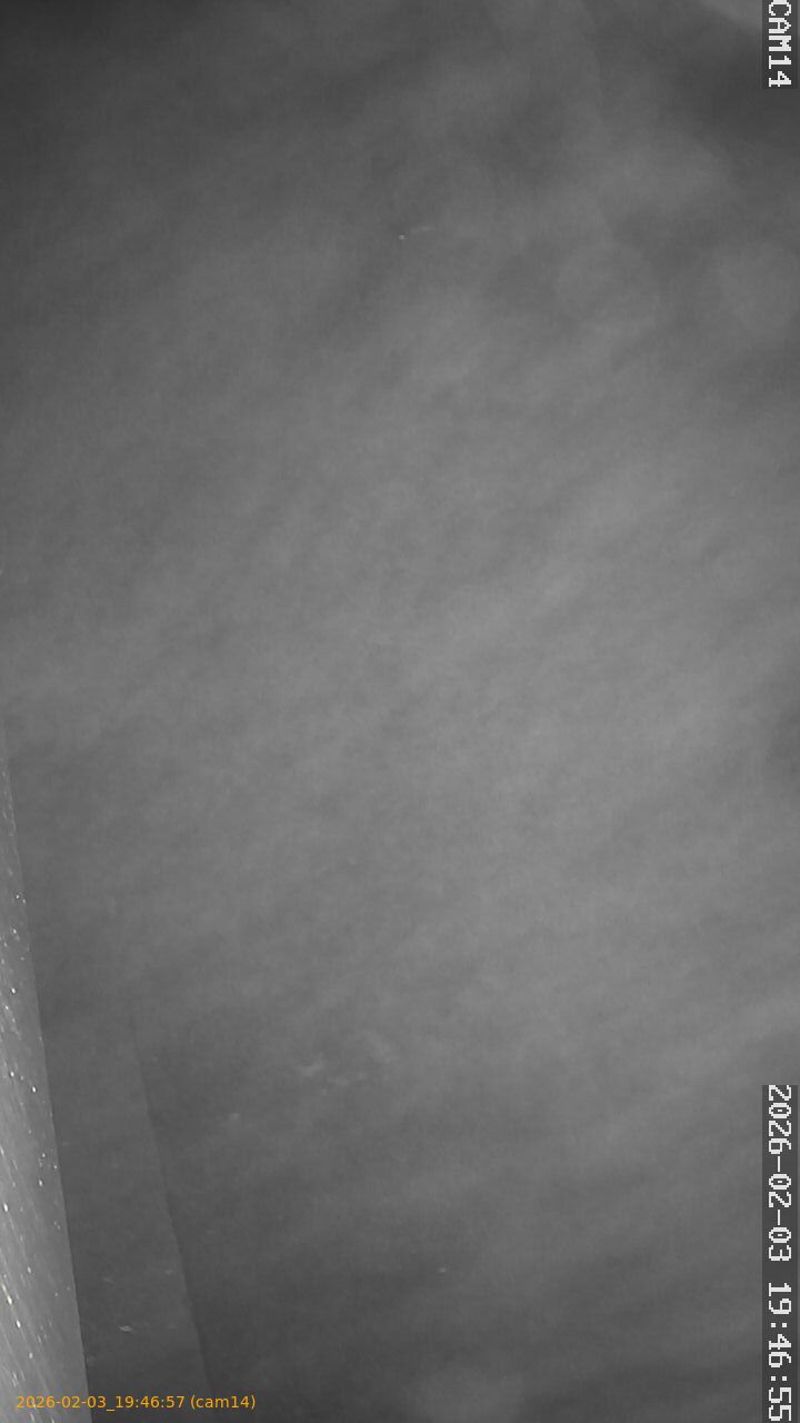 thumbnail_20260203194657