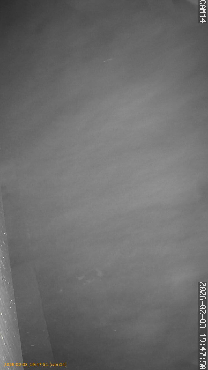 thumbnail_20260203194751