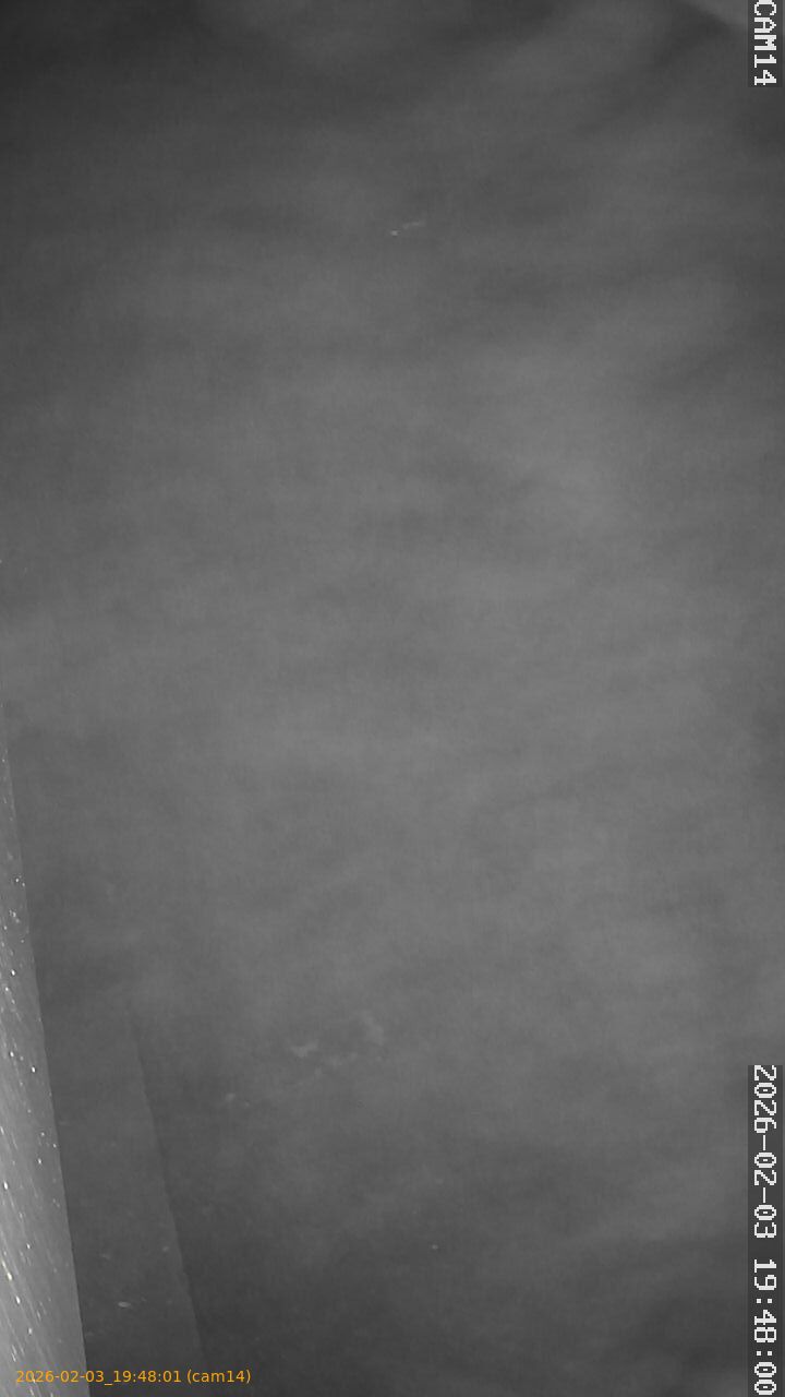 thumbnail_20260203194801