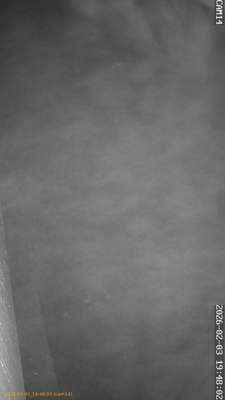 thumbnail_20260203194803