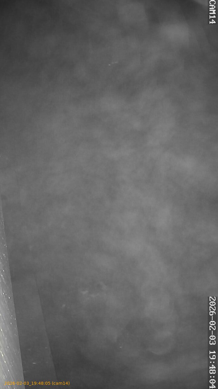 thumbnail_20260203194805