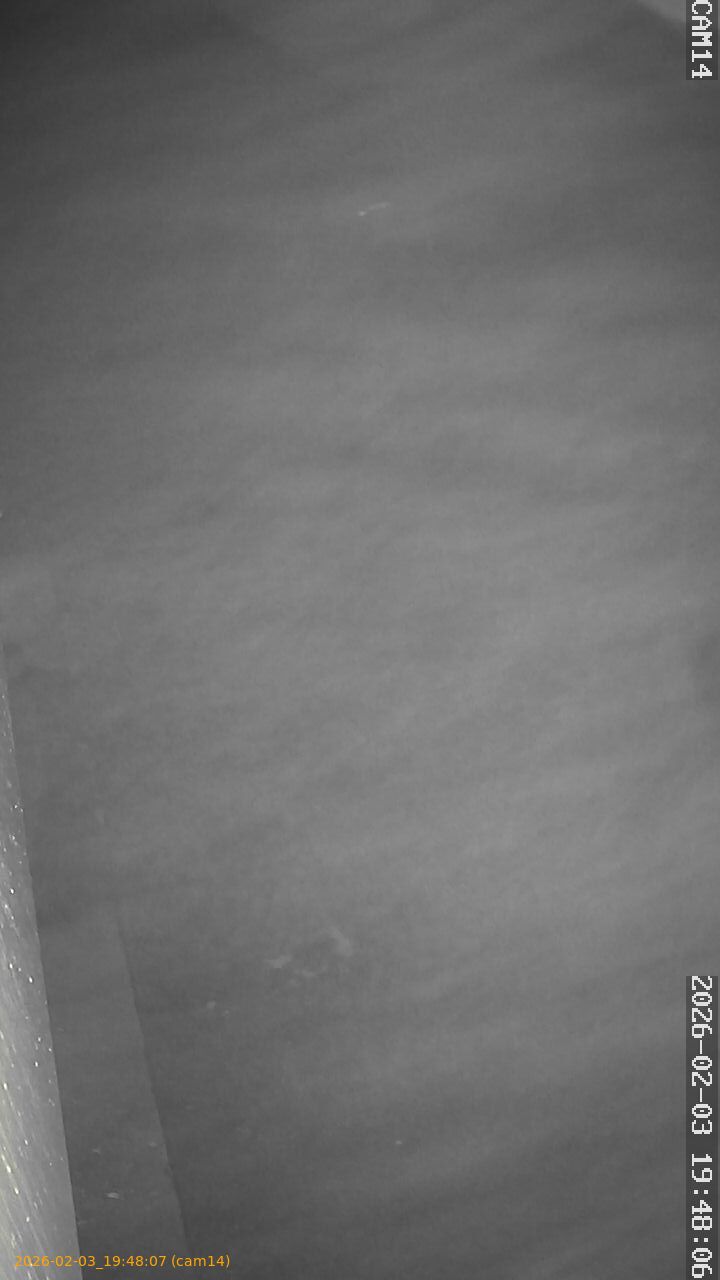 thumbnail_20260203194807