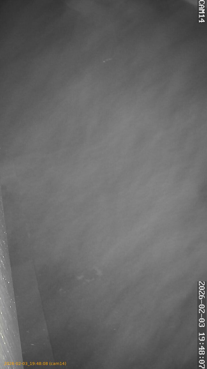 thumbnail_20260203194808