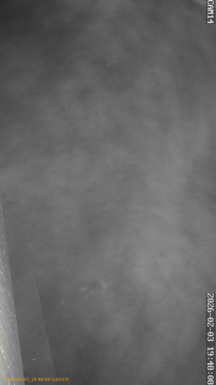 thumbnail_20260203194809