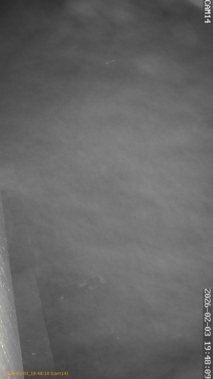 thumbnail_20260203194810