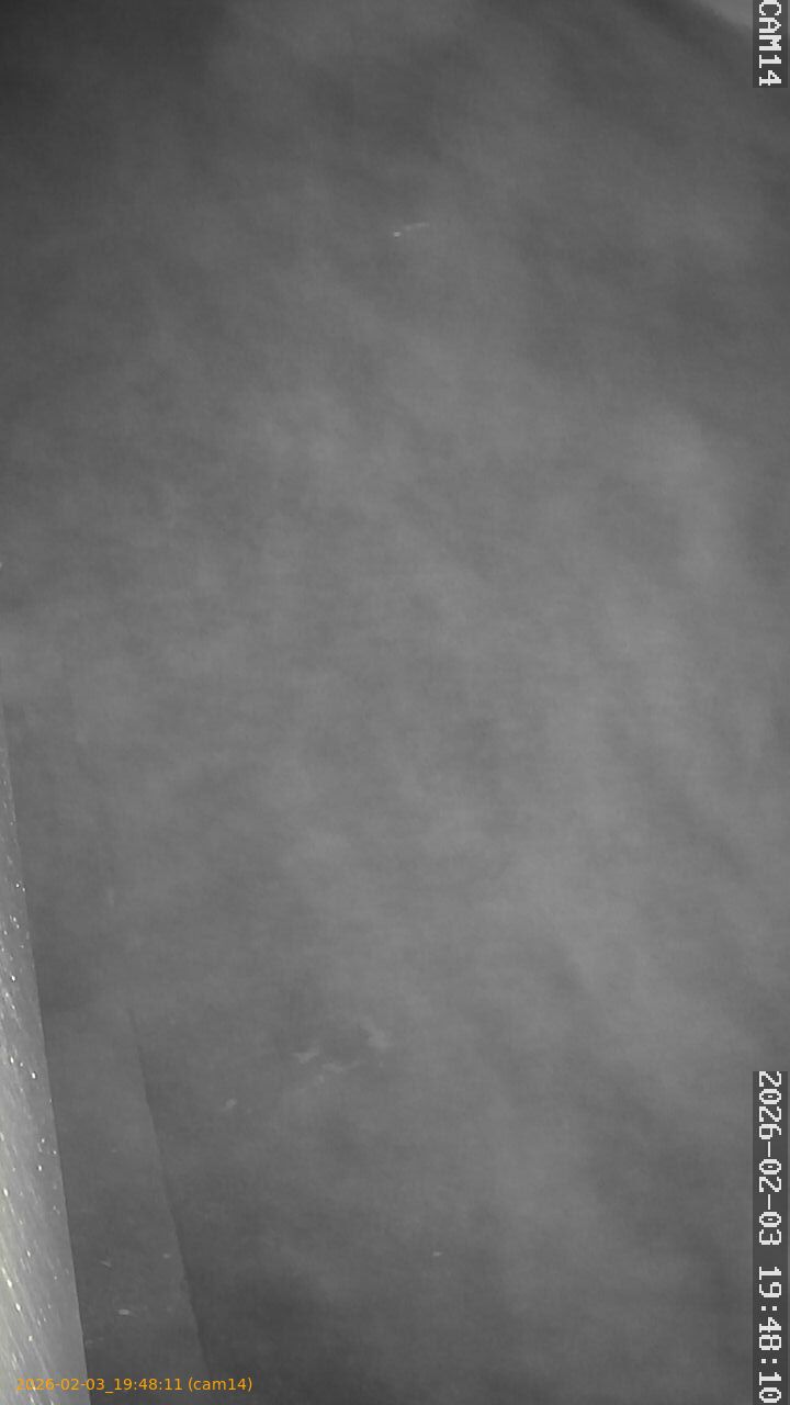 thumbnail_20260203194811