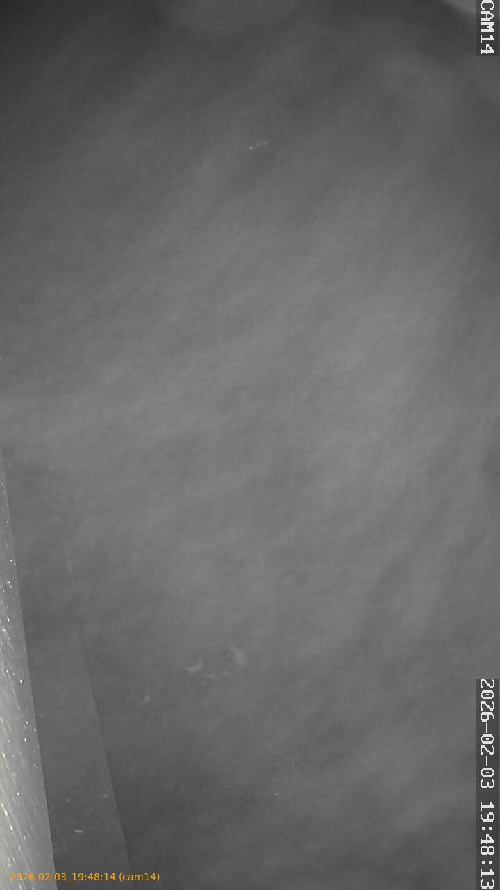 thumbnail_20260203194814