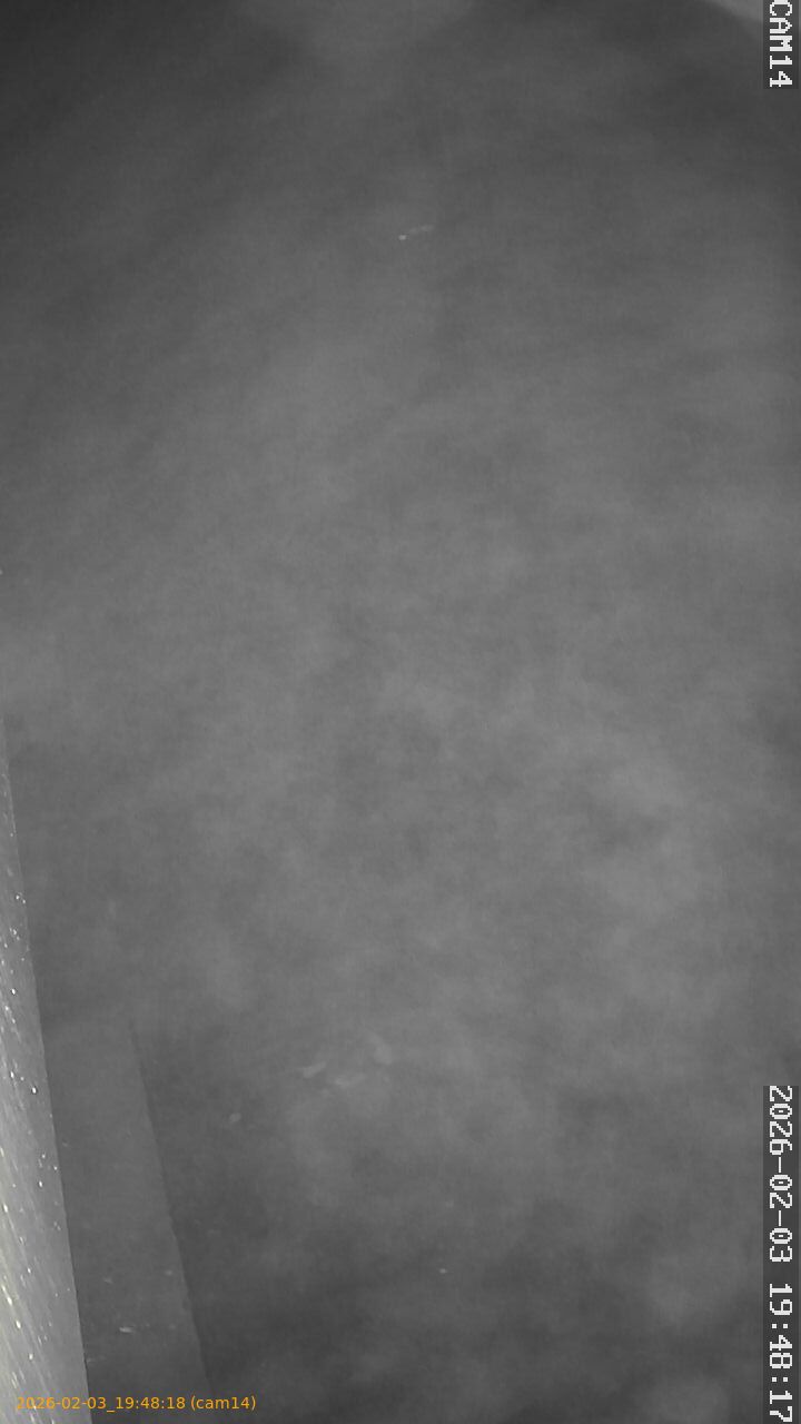 thumbnail_20260203194818