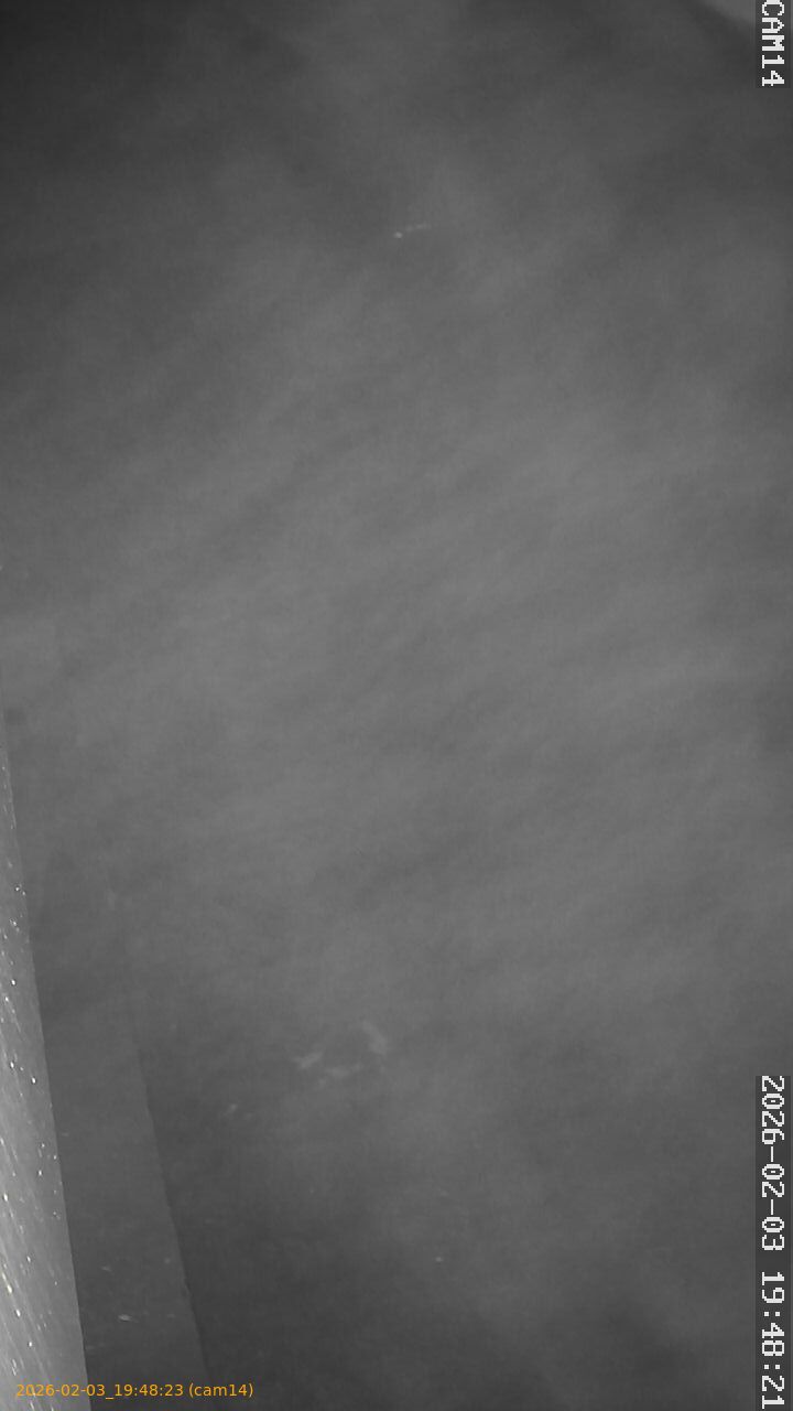 thumbnail_20260203194822