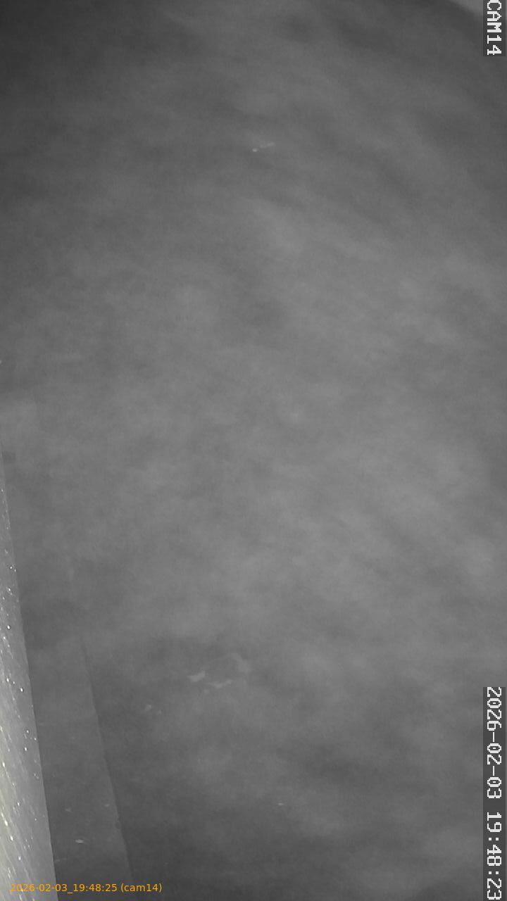 thumbnail_20260203194824