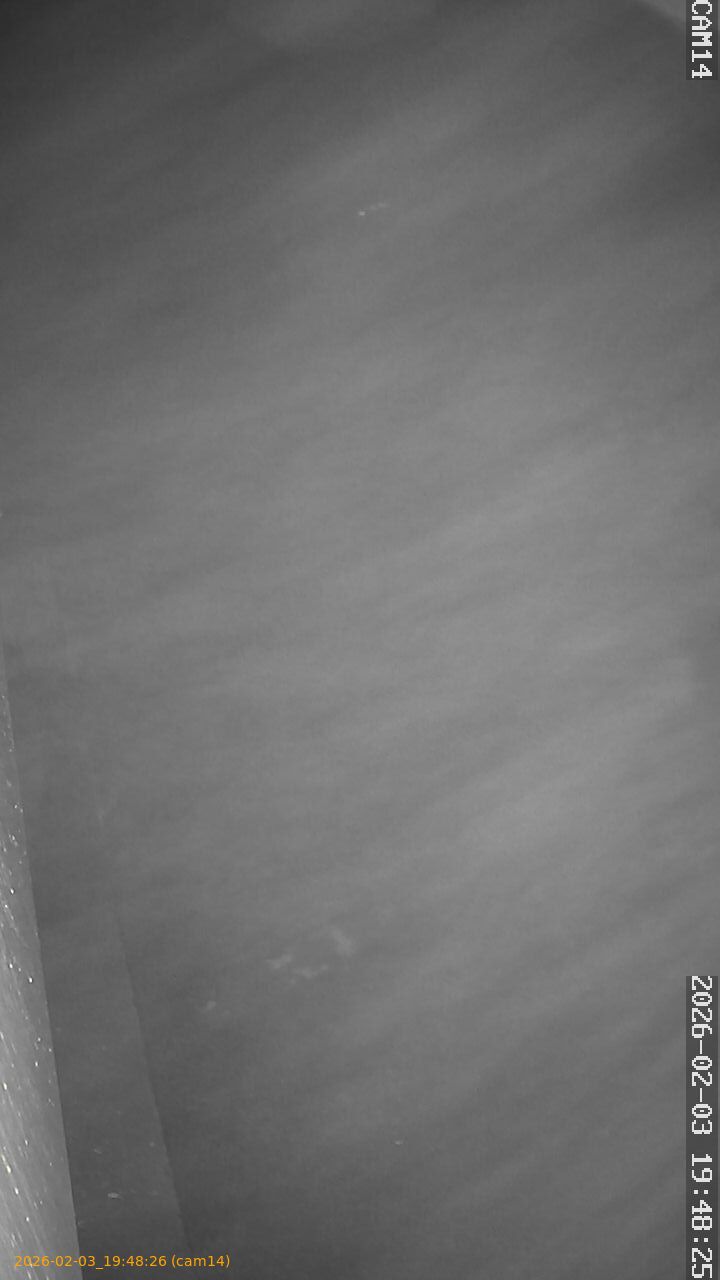 thumbnail_20260203194826