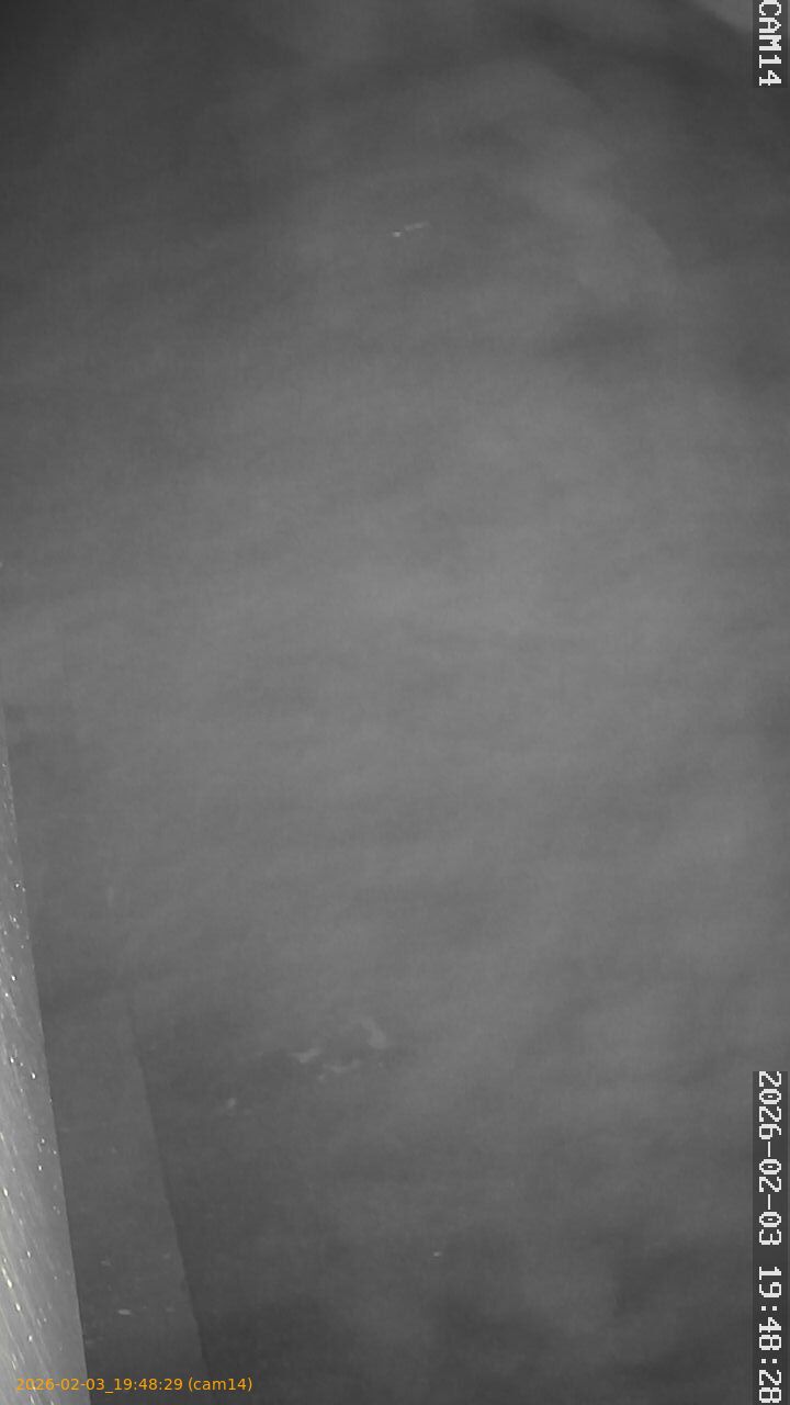 thumbnail_20260203194829