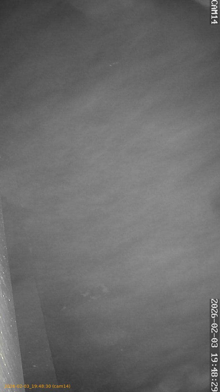 thumbnail_20260203194830