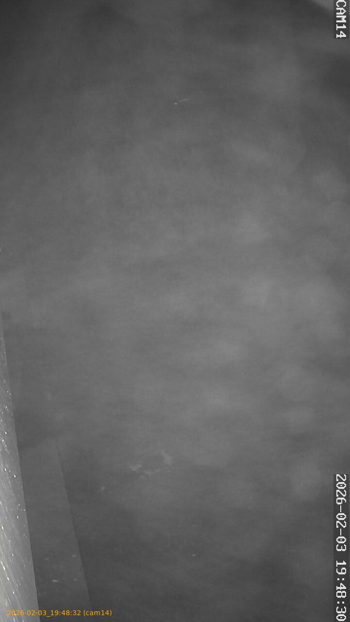 thumbnail_20260203194832