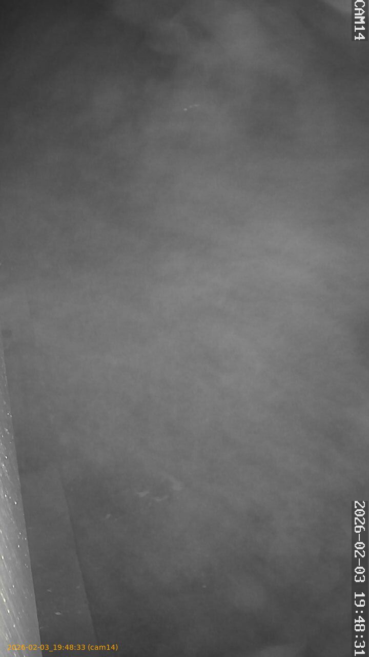 thumbnail_20260203194833