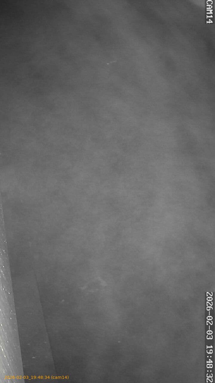 thumbnail_20260203194834