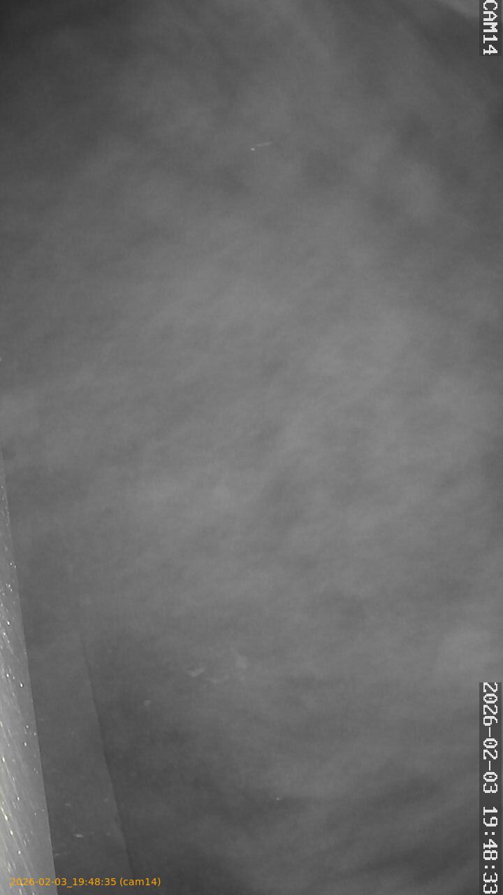 thumbnail_20260203194835