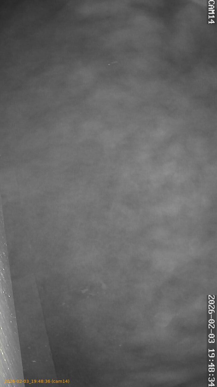 thumbnail_20260203194836