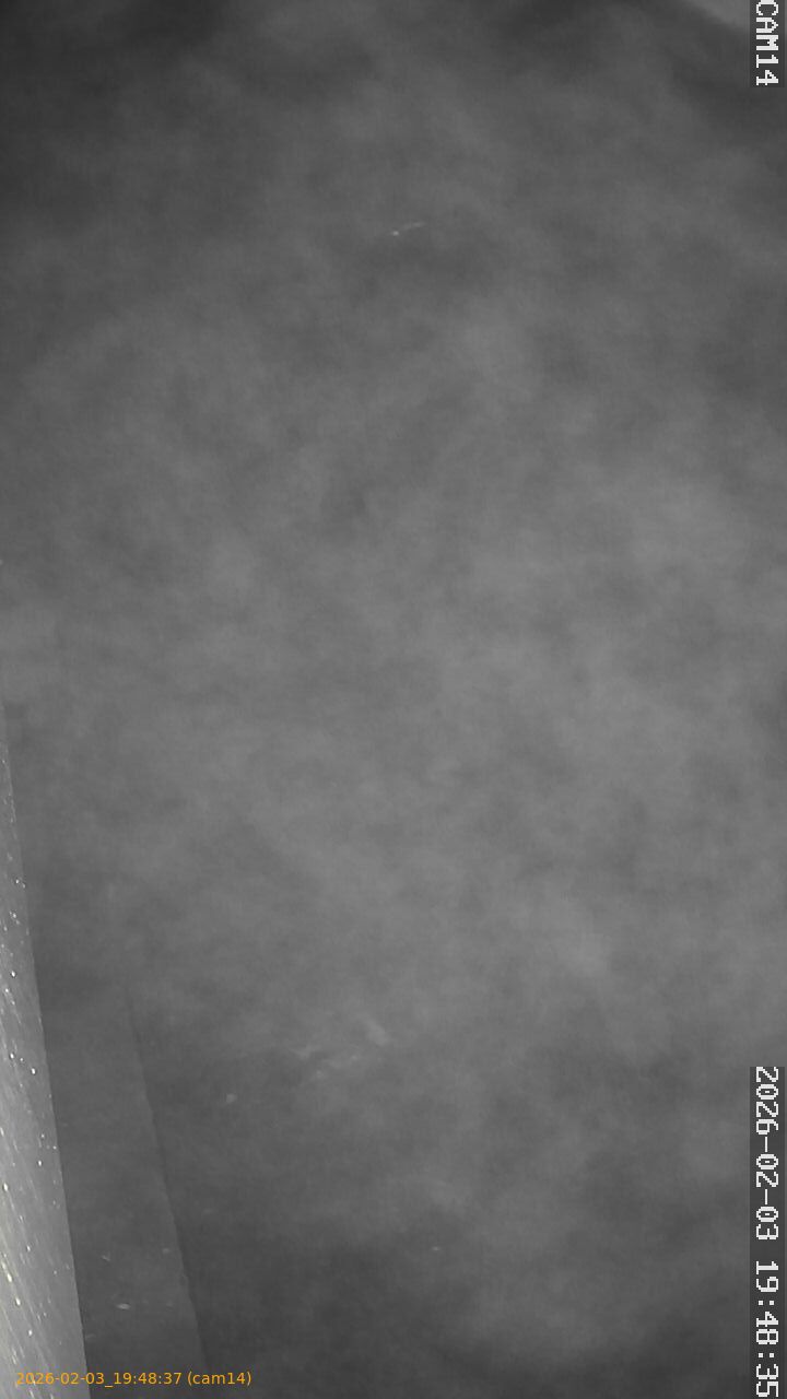 thumbnail_20260203194837