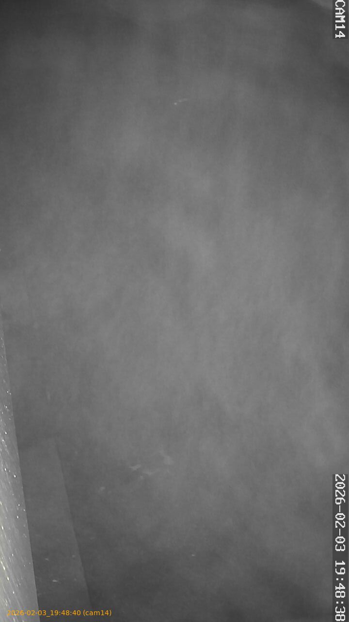 thumbnail_20260203194840