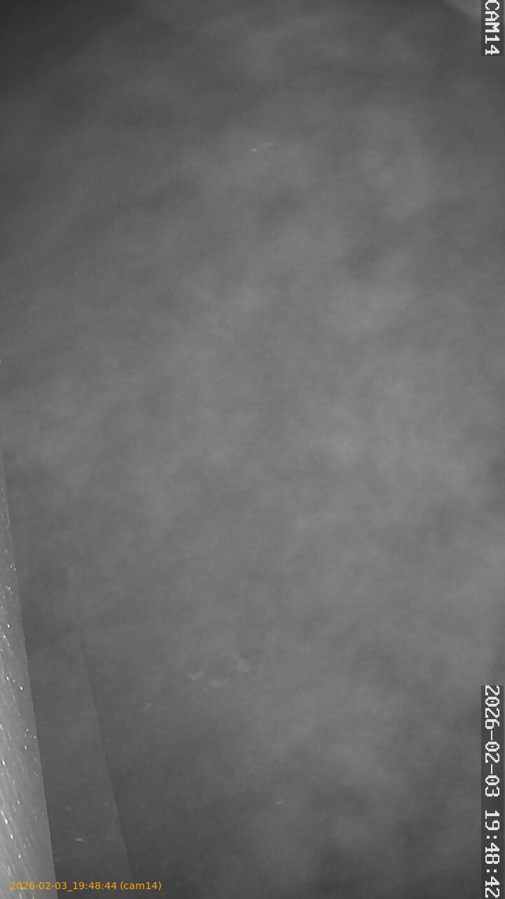 thumbnail_20260203194844