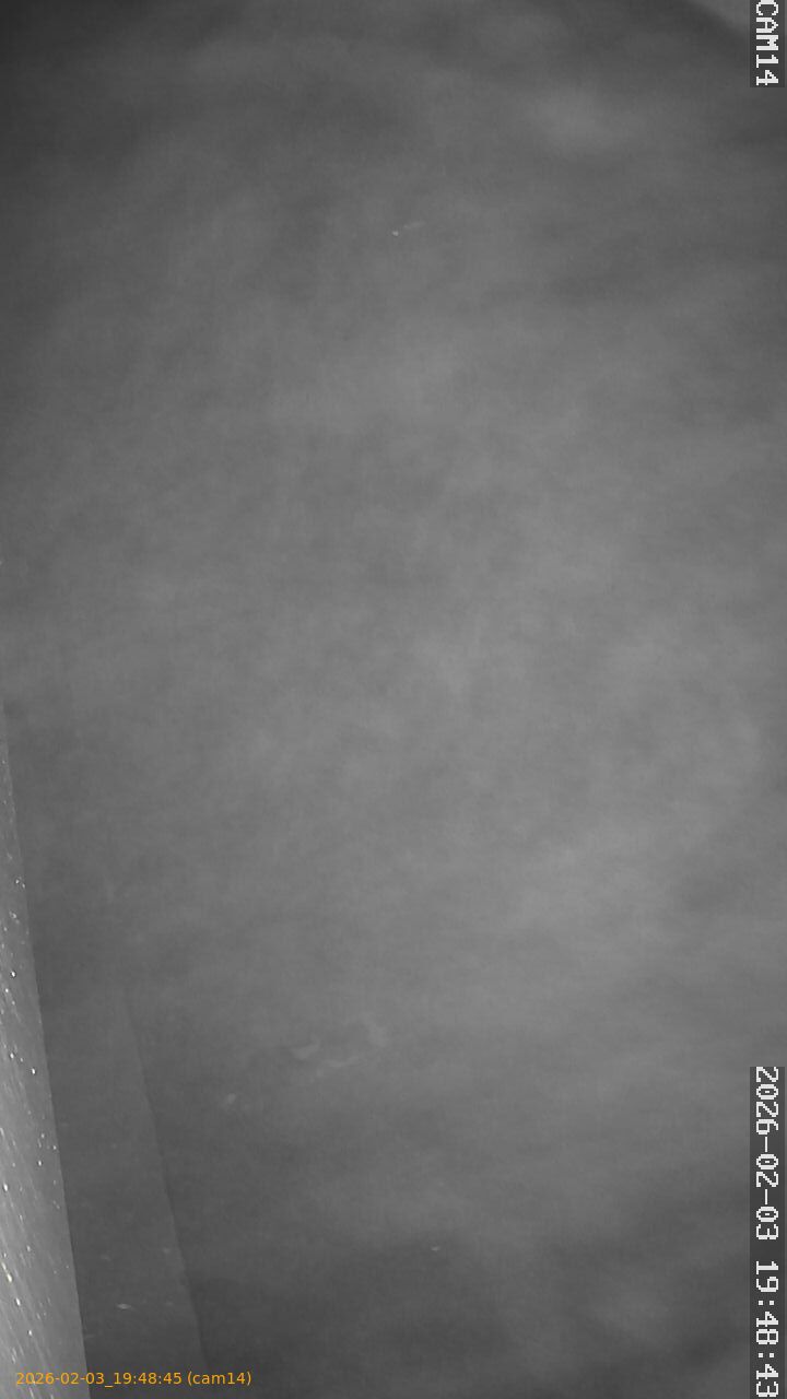 thumbnail_20260203194845