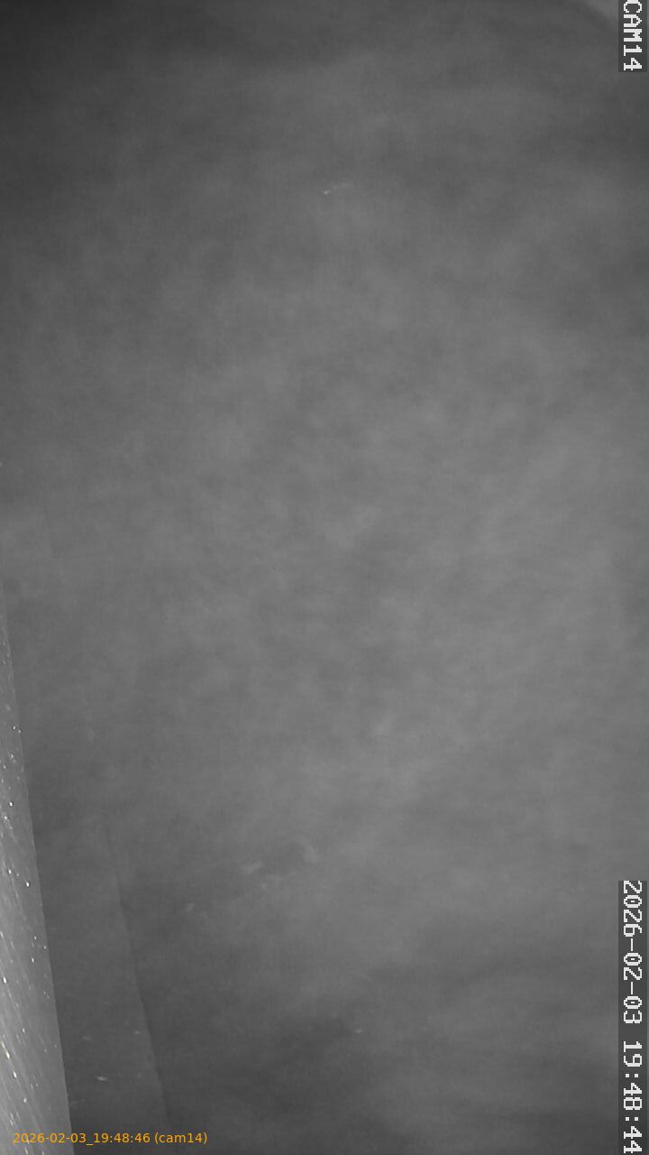 thumbnail_20260203194846