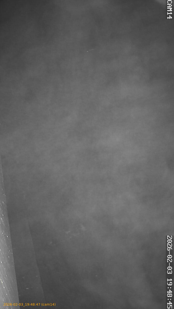 thumbnail_20260203194847