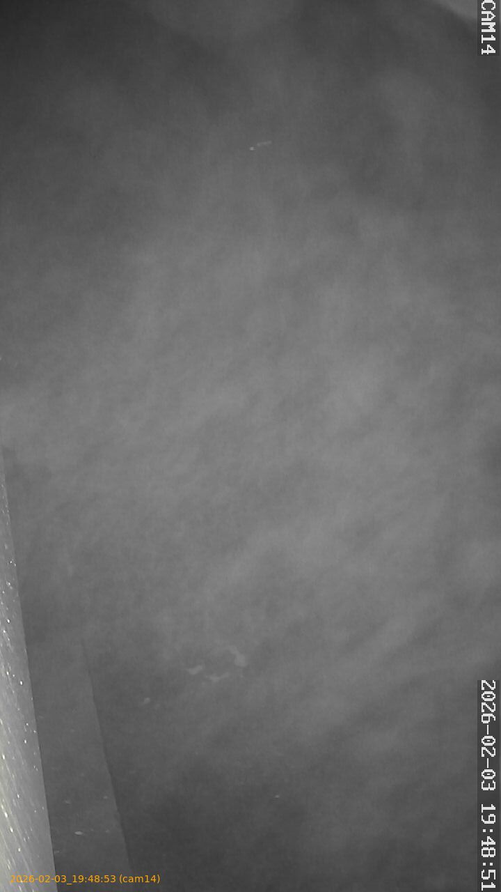 thumbnail_20260203194853