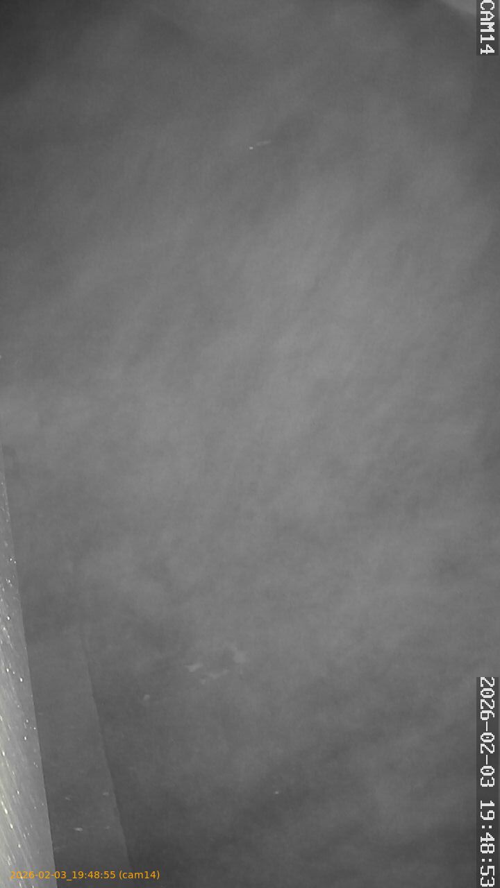 thumbnail_20260203194855