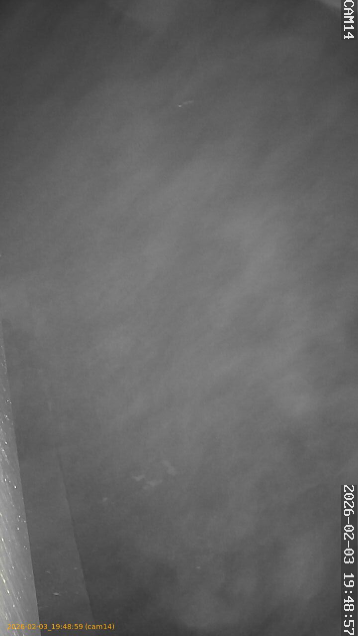 thumbnail_20260203194859