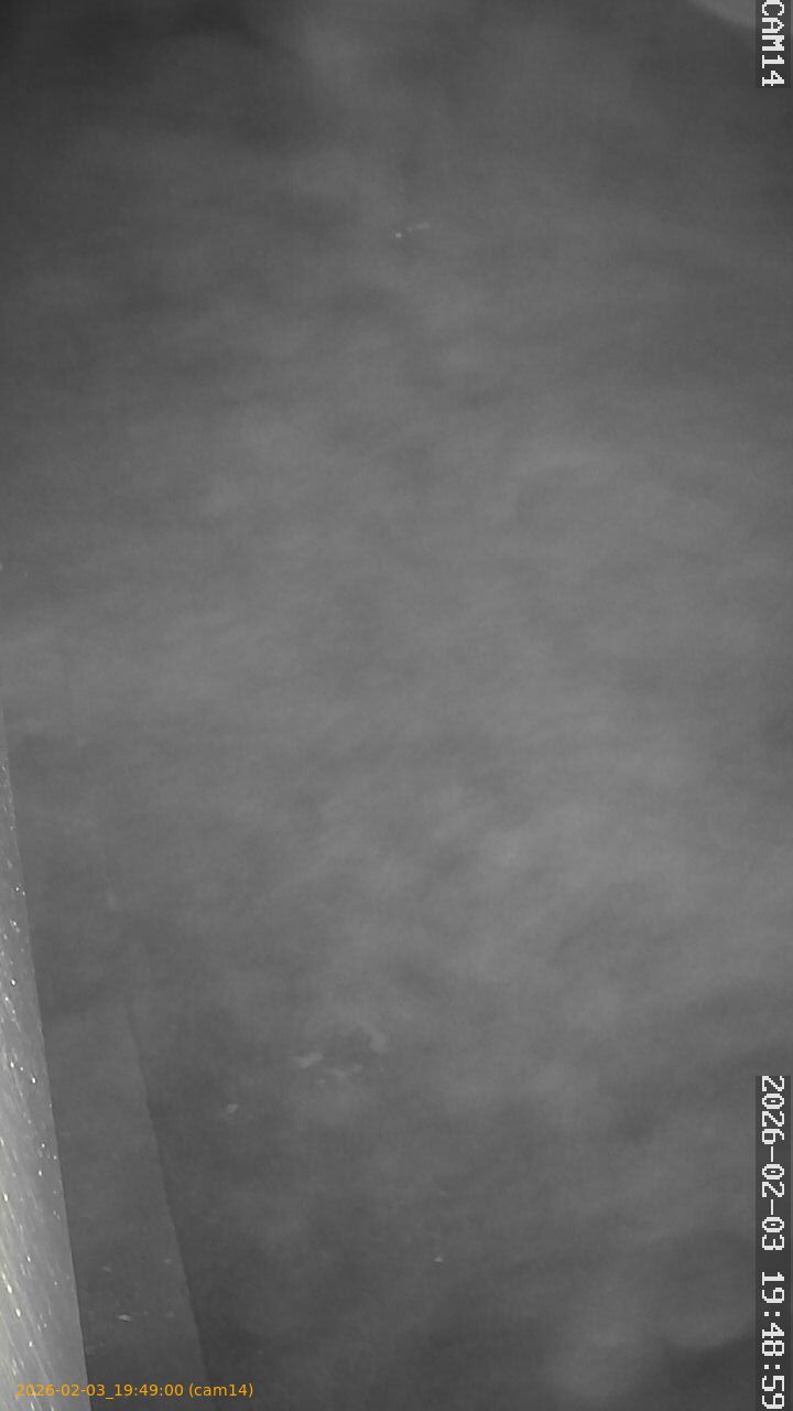 thumbnail_20260203194900