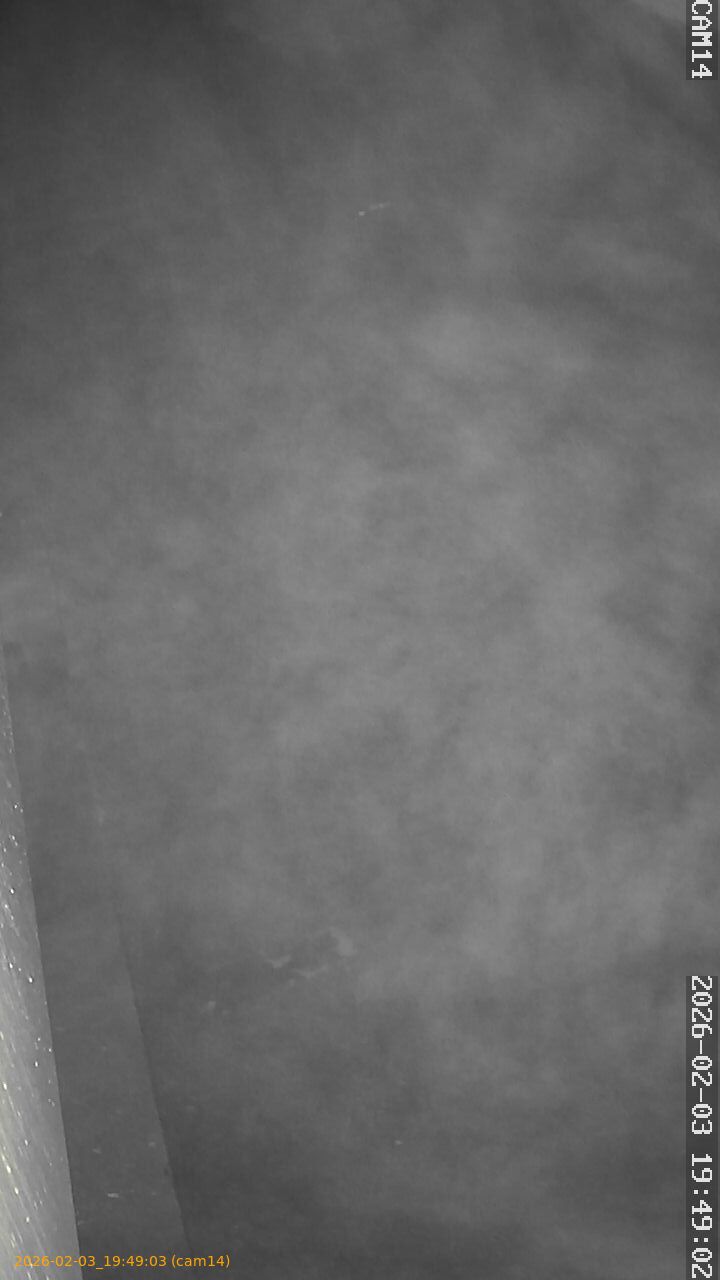 thumbnail_20260203194903