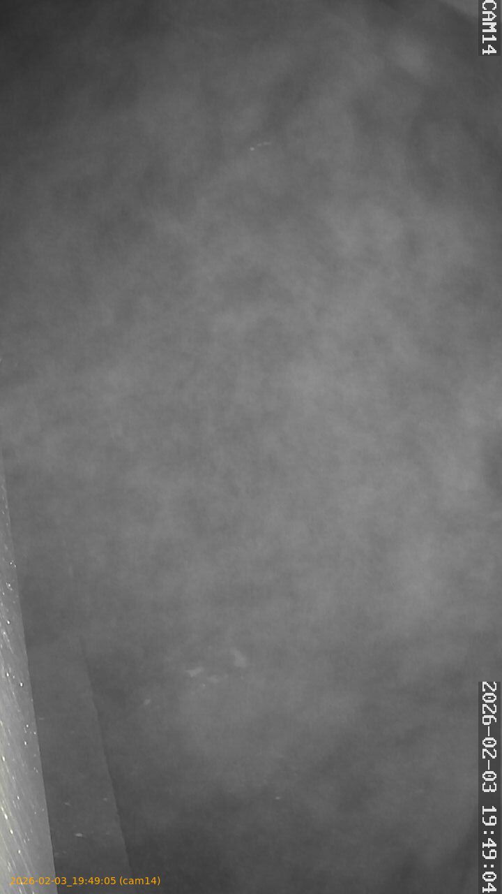 thumbnail_20260203194905