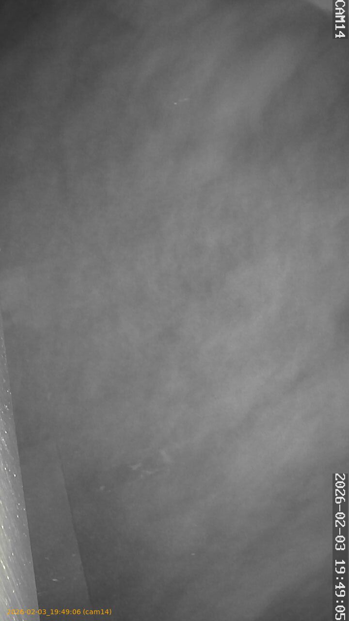 thumbnail_20260203194906