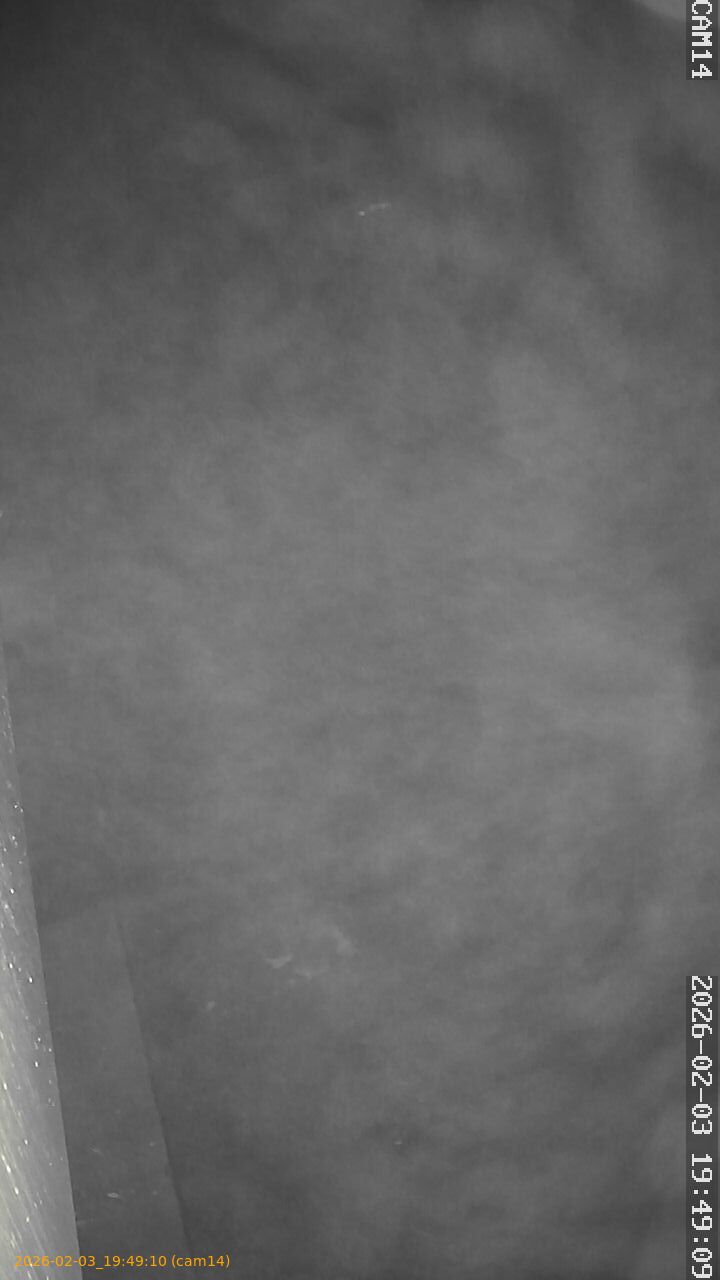 thumbnail_20260203194910